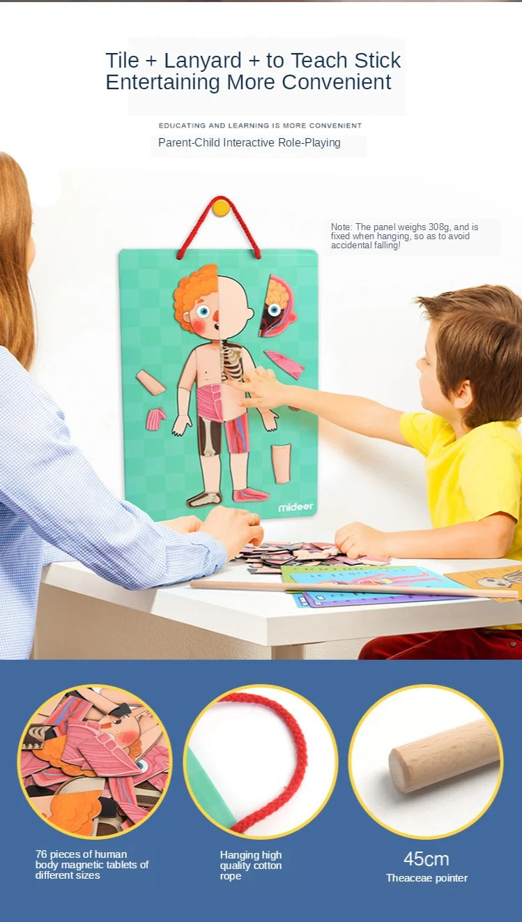 Body Cognitive Puzzle