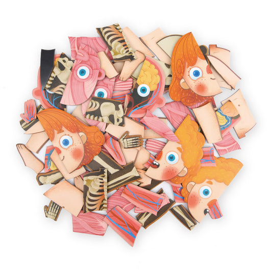 Body Cognitive Puzzle