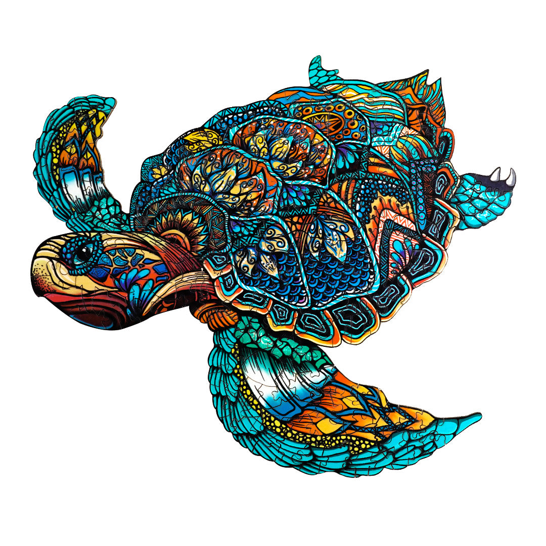 Resolute Turtle