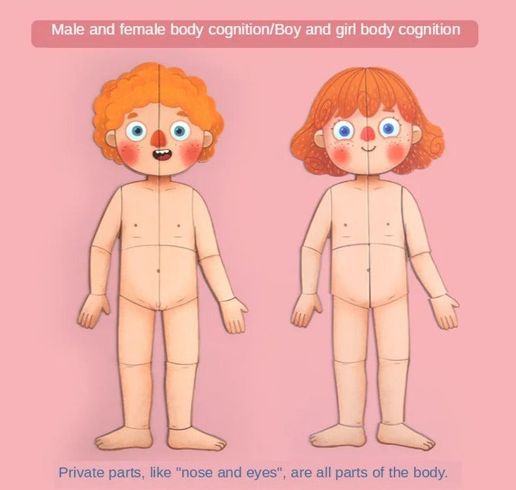 Body Cognitive Puzzle